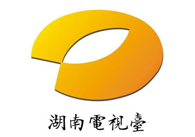湖南電視臺項目 湖南電視臺項目