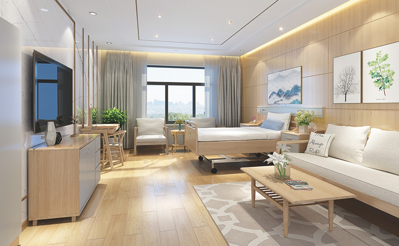 VIP單人套間家具 VIP單人套間家具