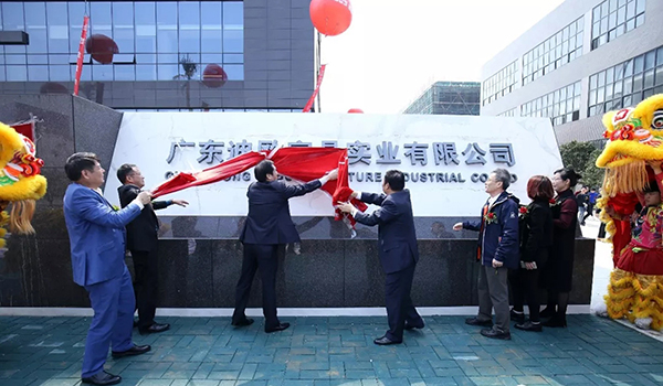 廣東迪歐家具實業有限公司