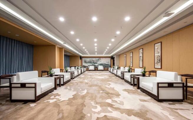 迪歐商用家具-貴賓接待室家具